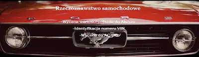 Rzeczoznawca Samochodowy Opinie, Wyceny, AKCYZA, Ubezpieczalnie, VIN www.centrumwycen.com
